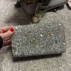 Sparkling Silver Clutch